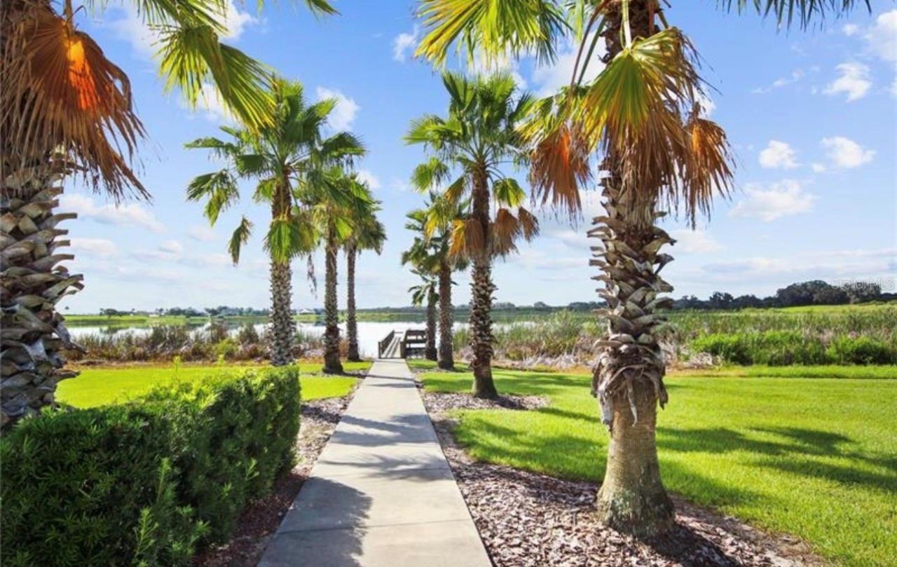 808 Waterfern Trail Drive, Auburndale, FL 33823 Photo