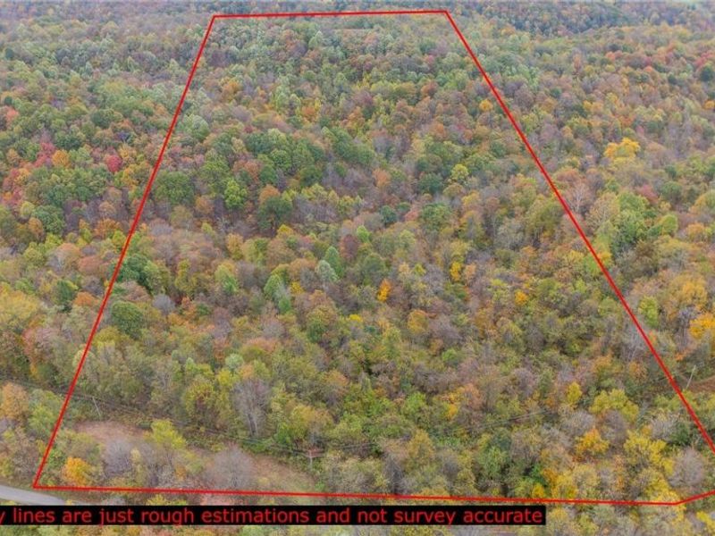 49100 Township Road 198, Clarington, OH 43915 Photo 1