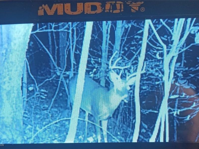 49100 Township Road 198, Clarington, OH 43915 Photo 12