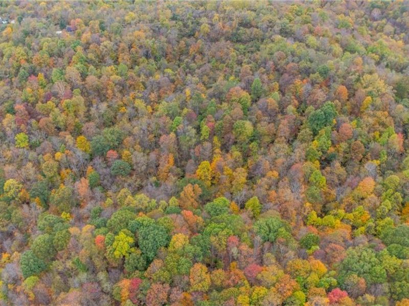 49100 Township Road 198, Clarington, OH 43915 Photo 2