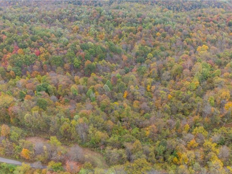 49100 Township Road 198, Clarington, OH 43915 Photo 3