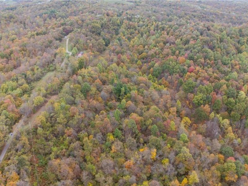 49100 Township Road 198, Clarington, OH 43915 Photo 4