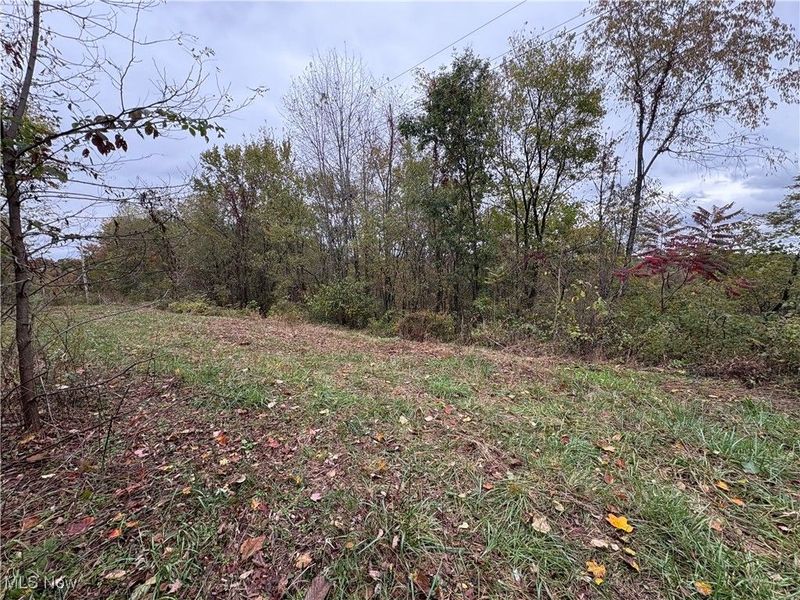 49100 Township Road 198, Clarington, OH 43915 Photo 5