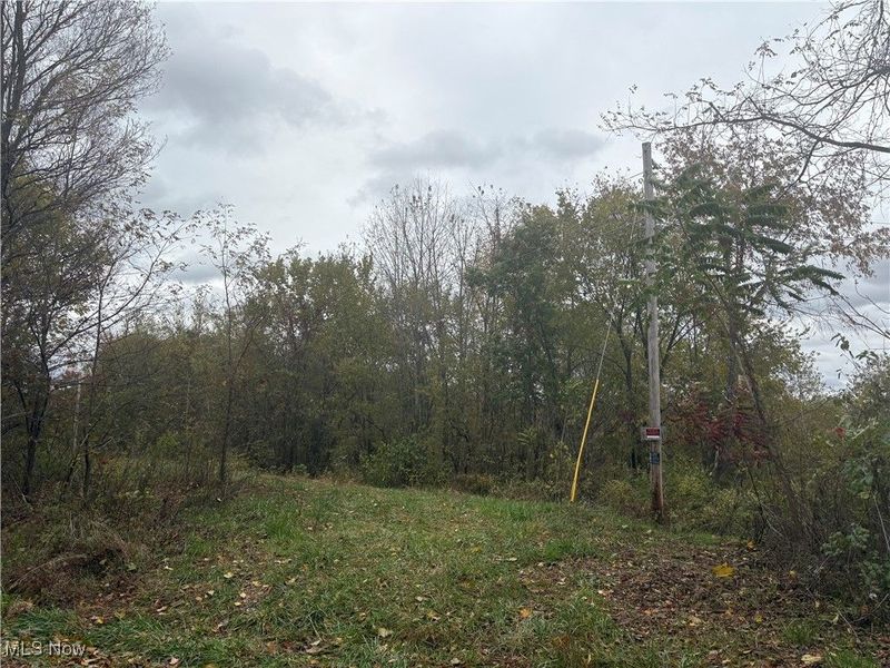 49100 Township Road 198, Clarington, OH 43915 Photo 7