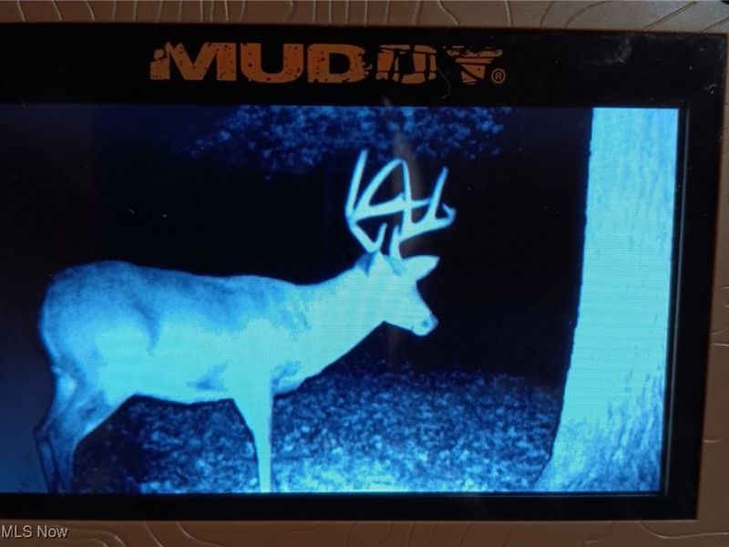 49100 Township Road 198, Clarington, OH 43915 Photo 8