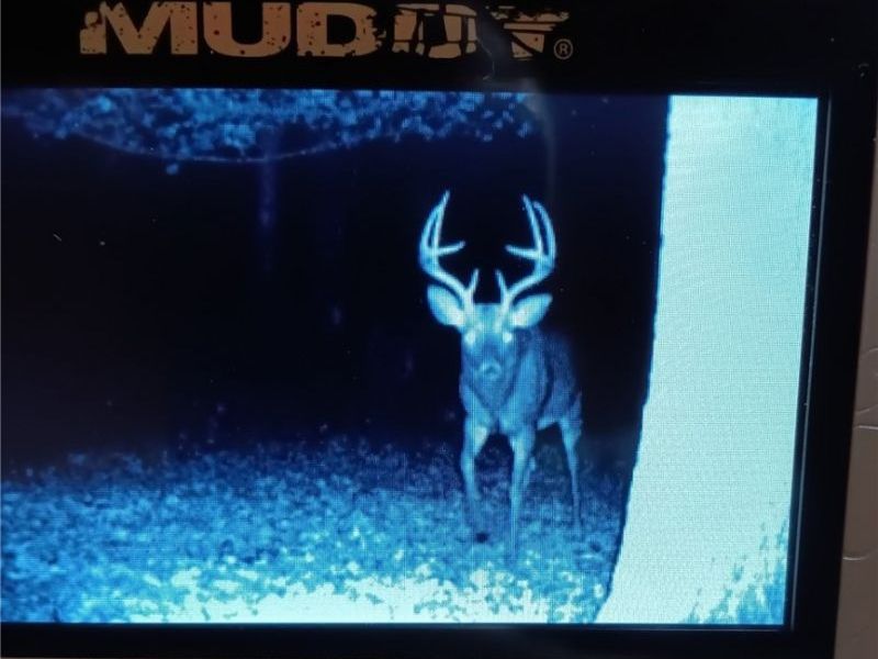 49100 Township Road 198, Clarington, OH 43915 Photo 9