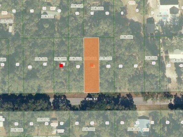 1020 ELM Street, Welaka, FL 32193