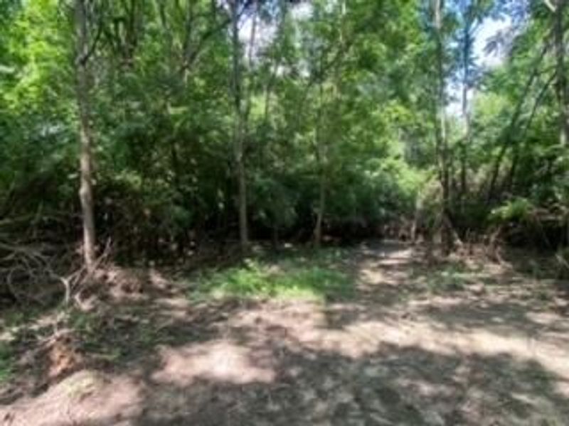 1111 Bull Road, New Lebanon, OH 45345 Photo 12