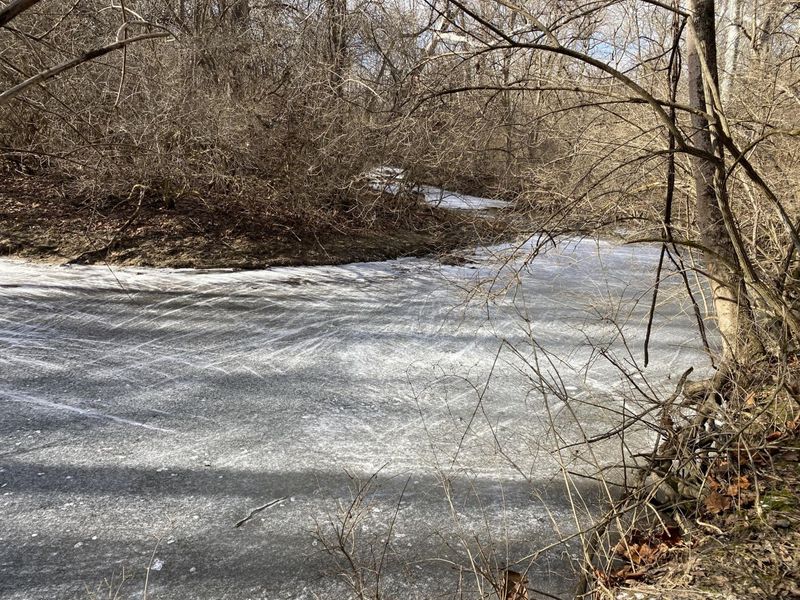 1111 Bull Road, New Lebanon, OH 45345 Photo 19