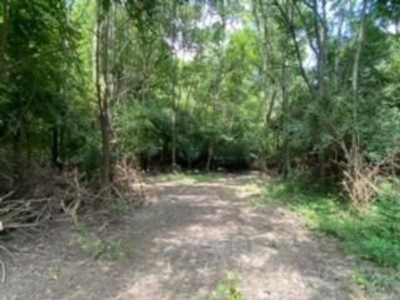 1111 Bull Road, New Lebanon, OH 45345 Photo 5