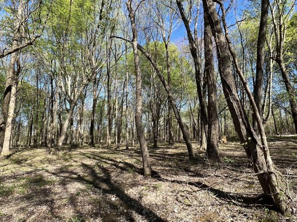 22 Highway 52E, Lafayette, TN 37083