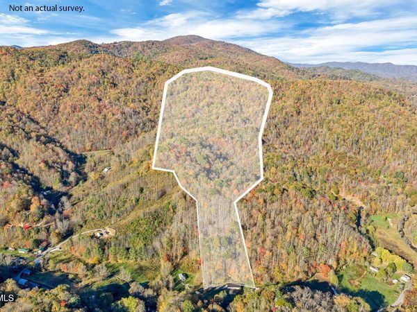 Tbd Hogum Hollow Road, Roan Mountain, TN 37687