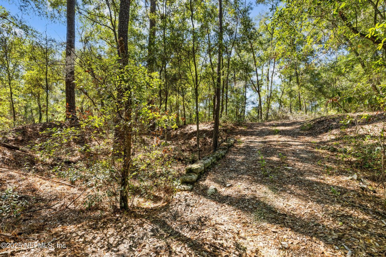 101 Ramsey Drive, Melrose, FL 32666 Photo