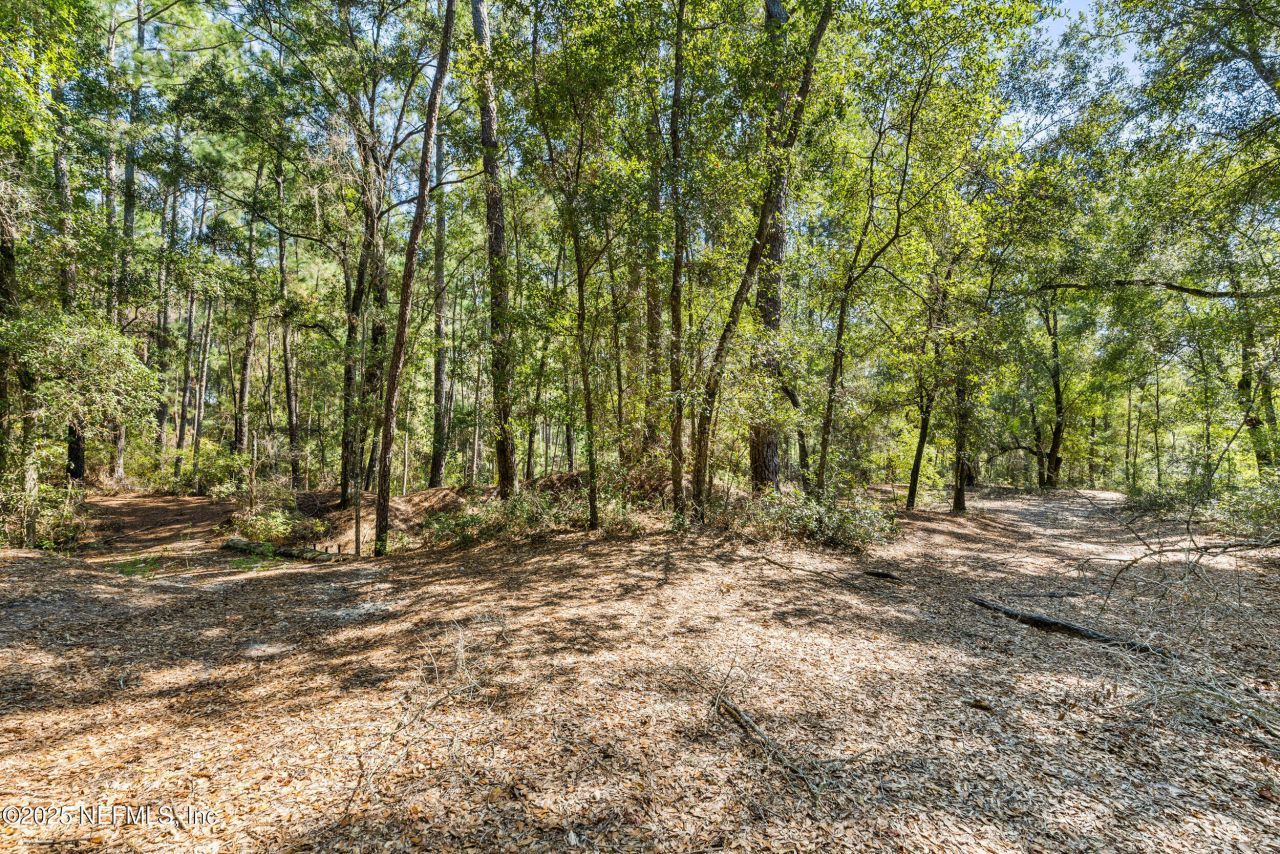 101 Ramsey Drive, Melrose, FL 32666 Photo