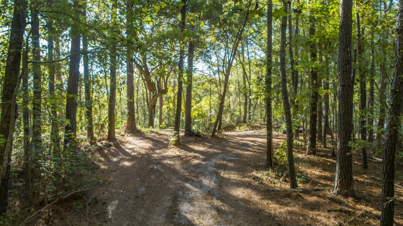 00 Givhans Ferry Road Photo 17