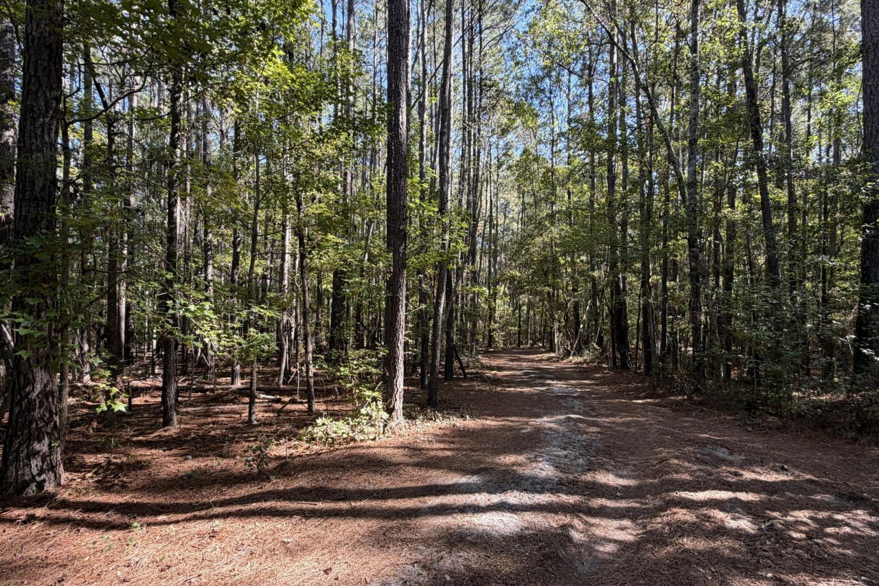 00 Givhans Ferry Road Photo 22