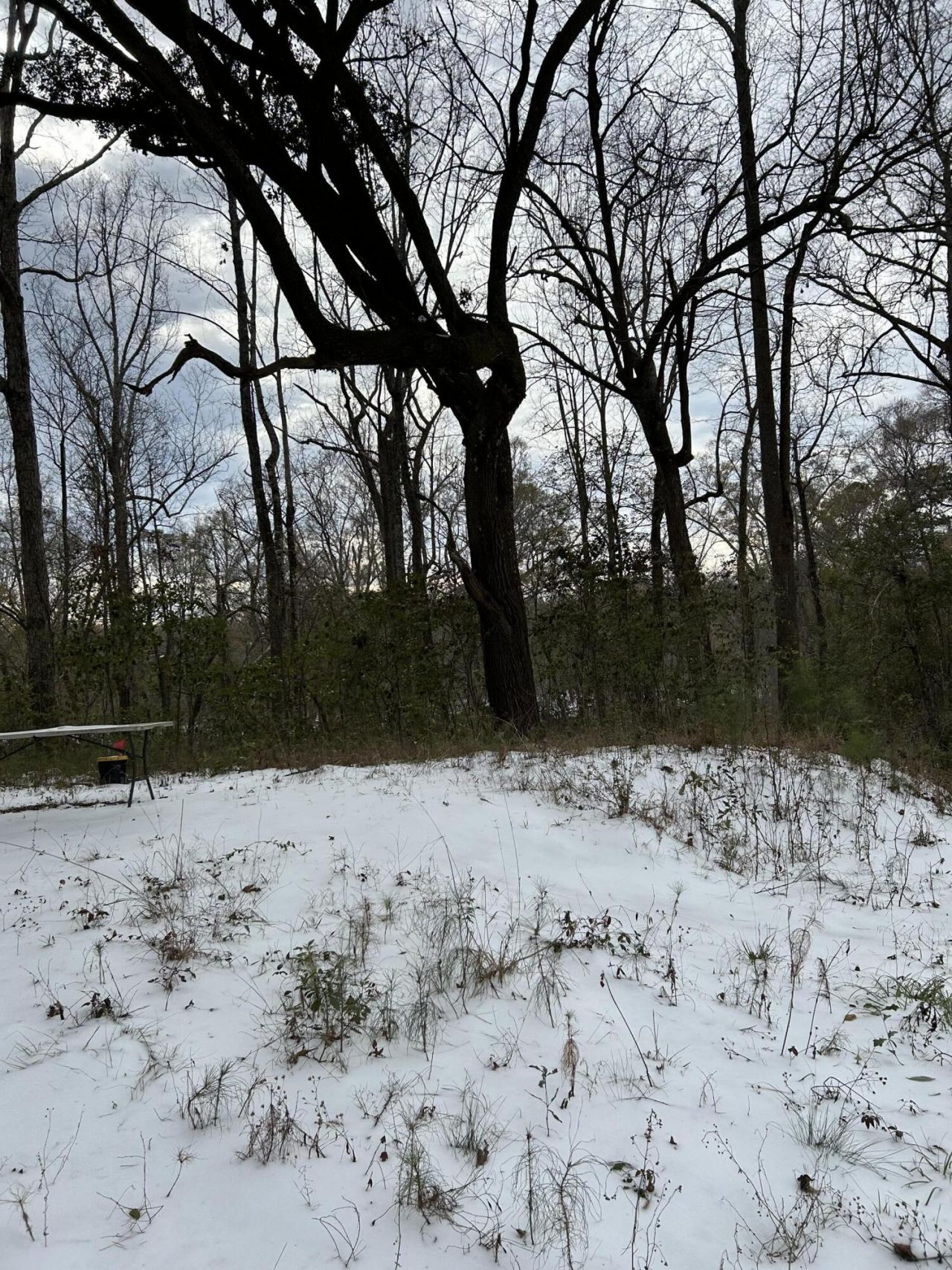 00 Givhans Ferry Road Photo 26