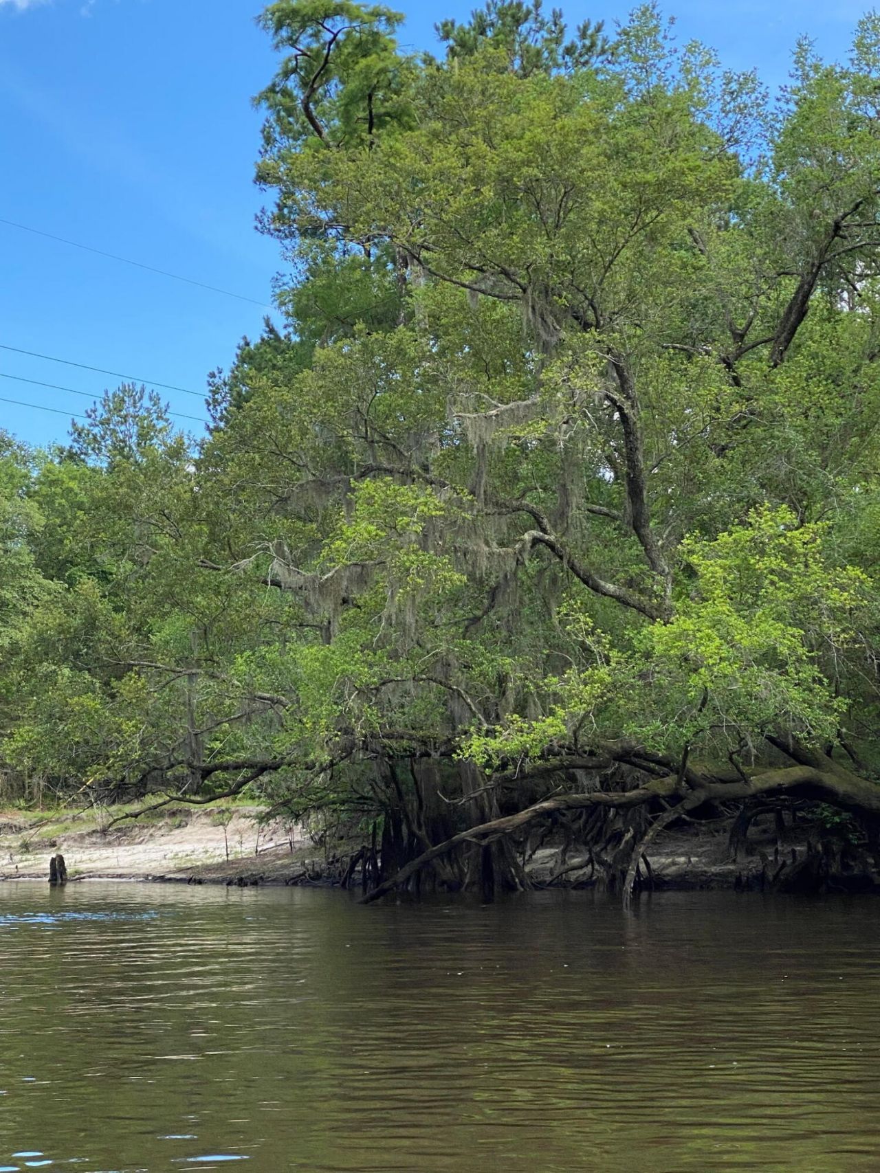 00 Givhans Ferry Road Photo 27