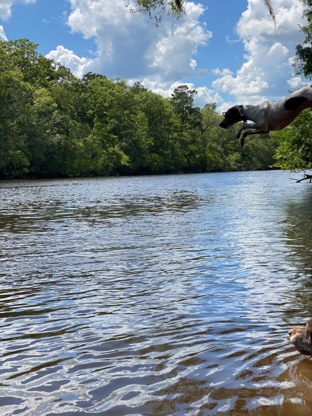 00 Givhans Ferry Road Photo 28