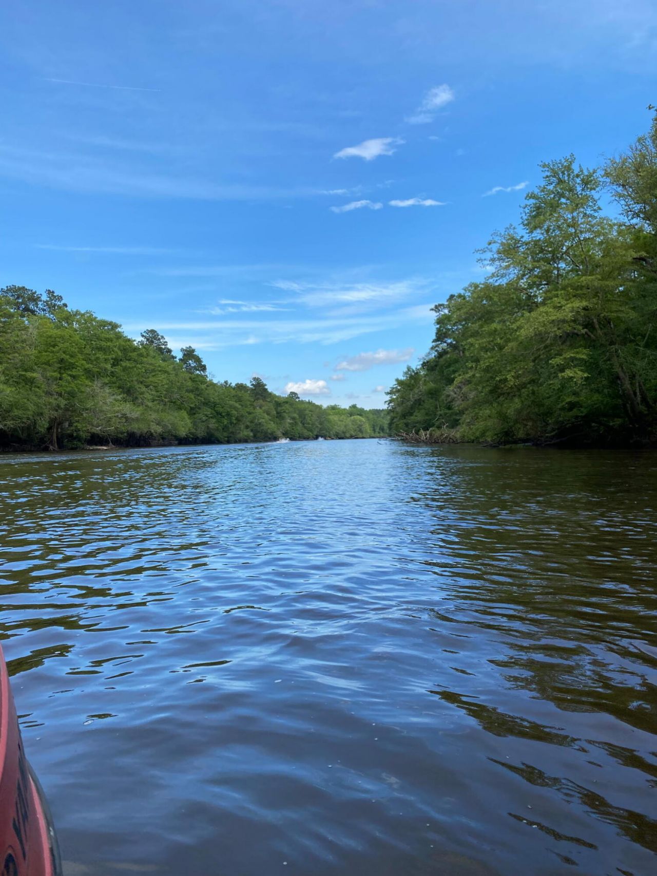 00 Givhans Ferry Road Photo 29