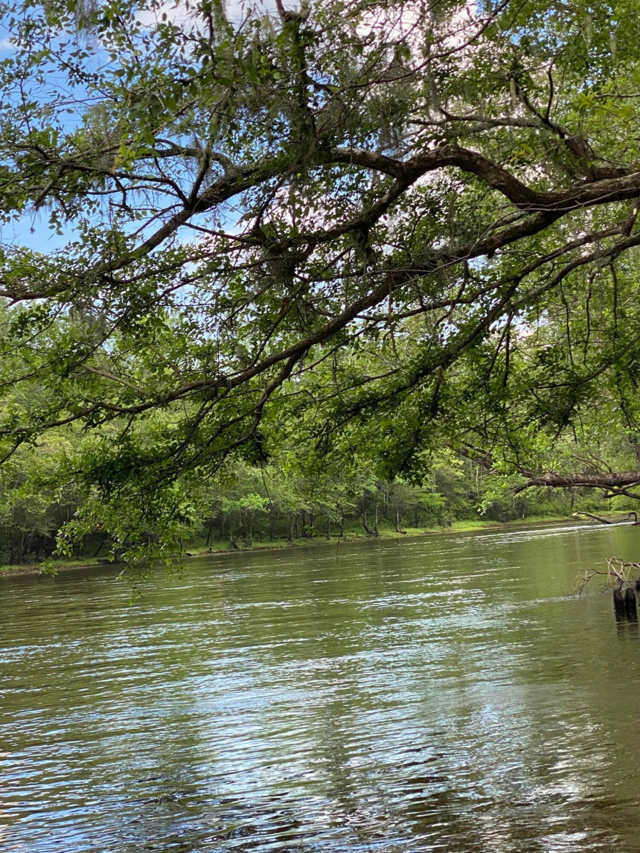 00 Givhans Ferry Road Photo 31