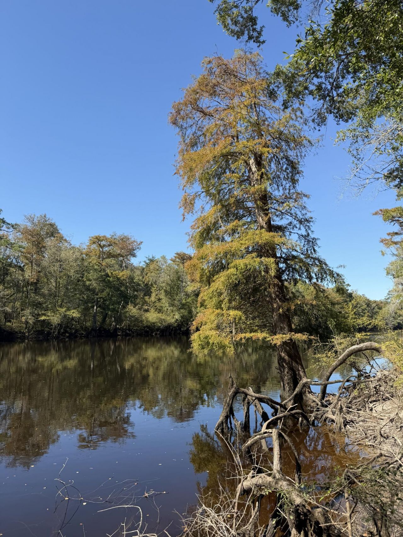 00 Givhans Ferry Road Photo 32