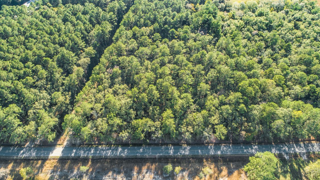 00 Givhans Ferry Road Photo 35