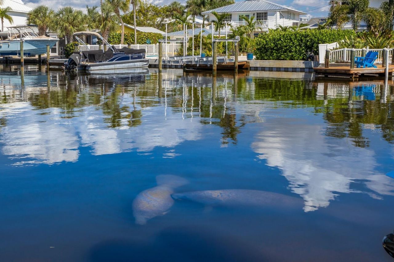 201 N Harbor Drive, Holmes Beach, FL 34217 Photo