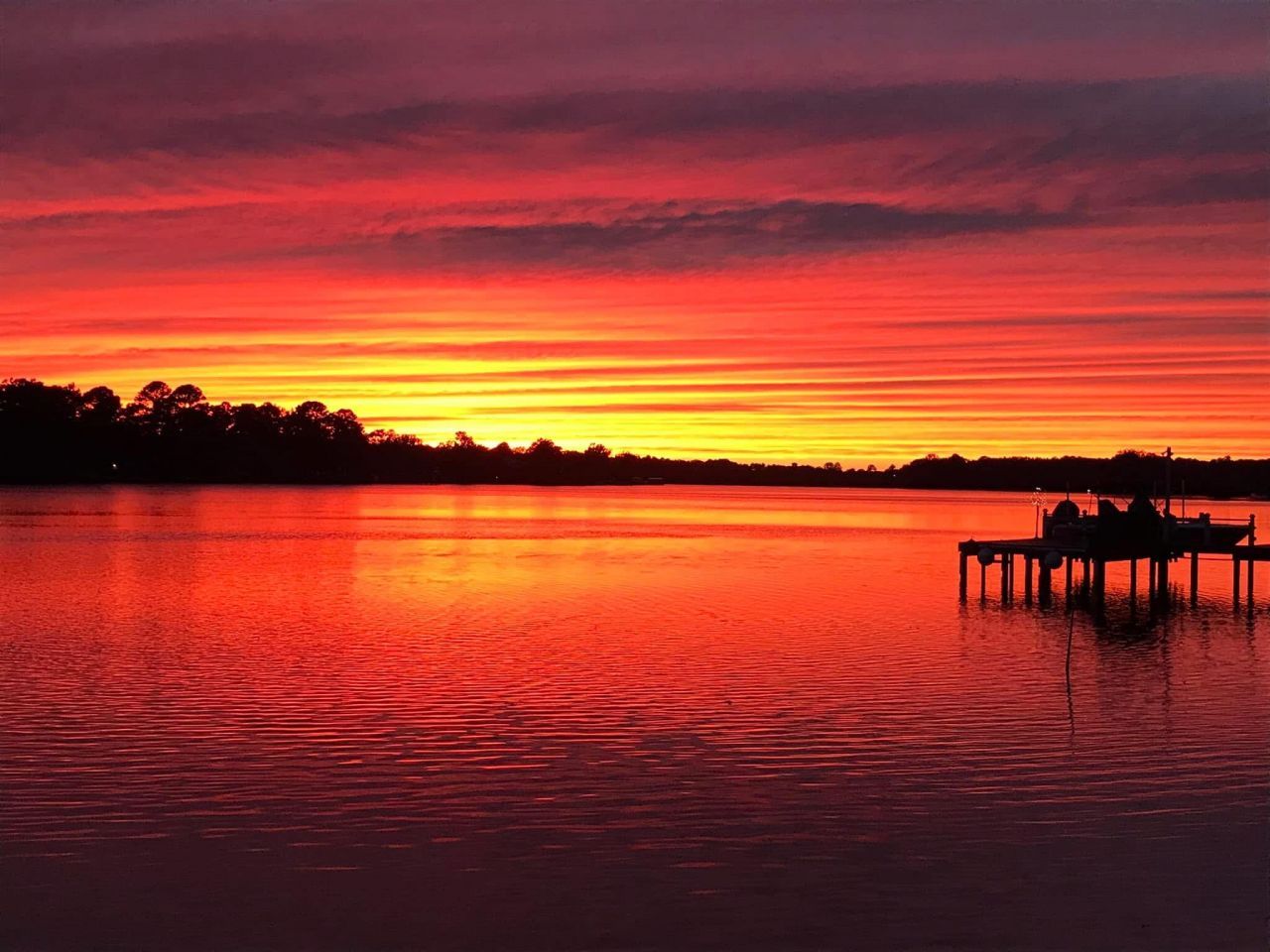 1204 Joyner Drive Photo 110