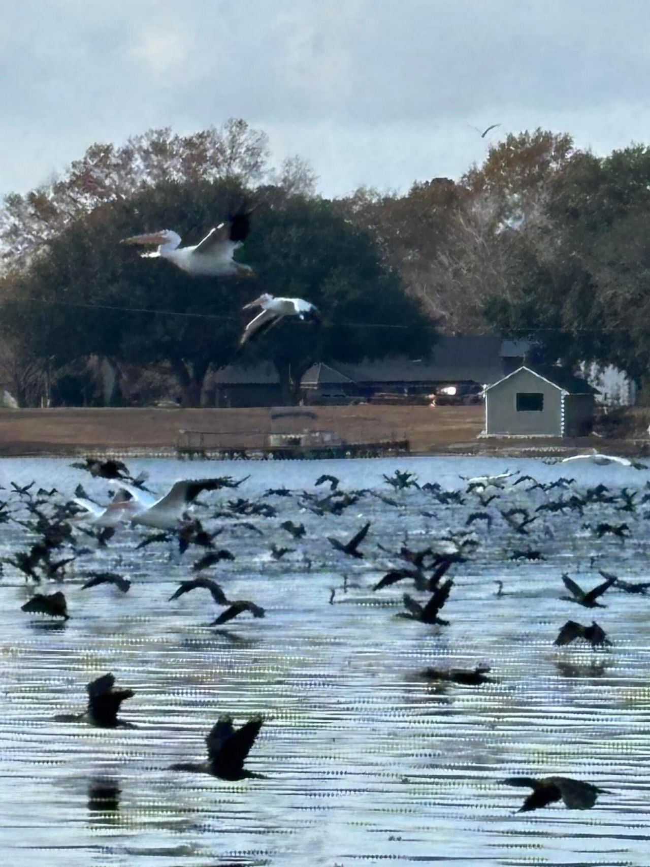 1204 Joyner Drive Photo 111