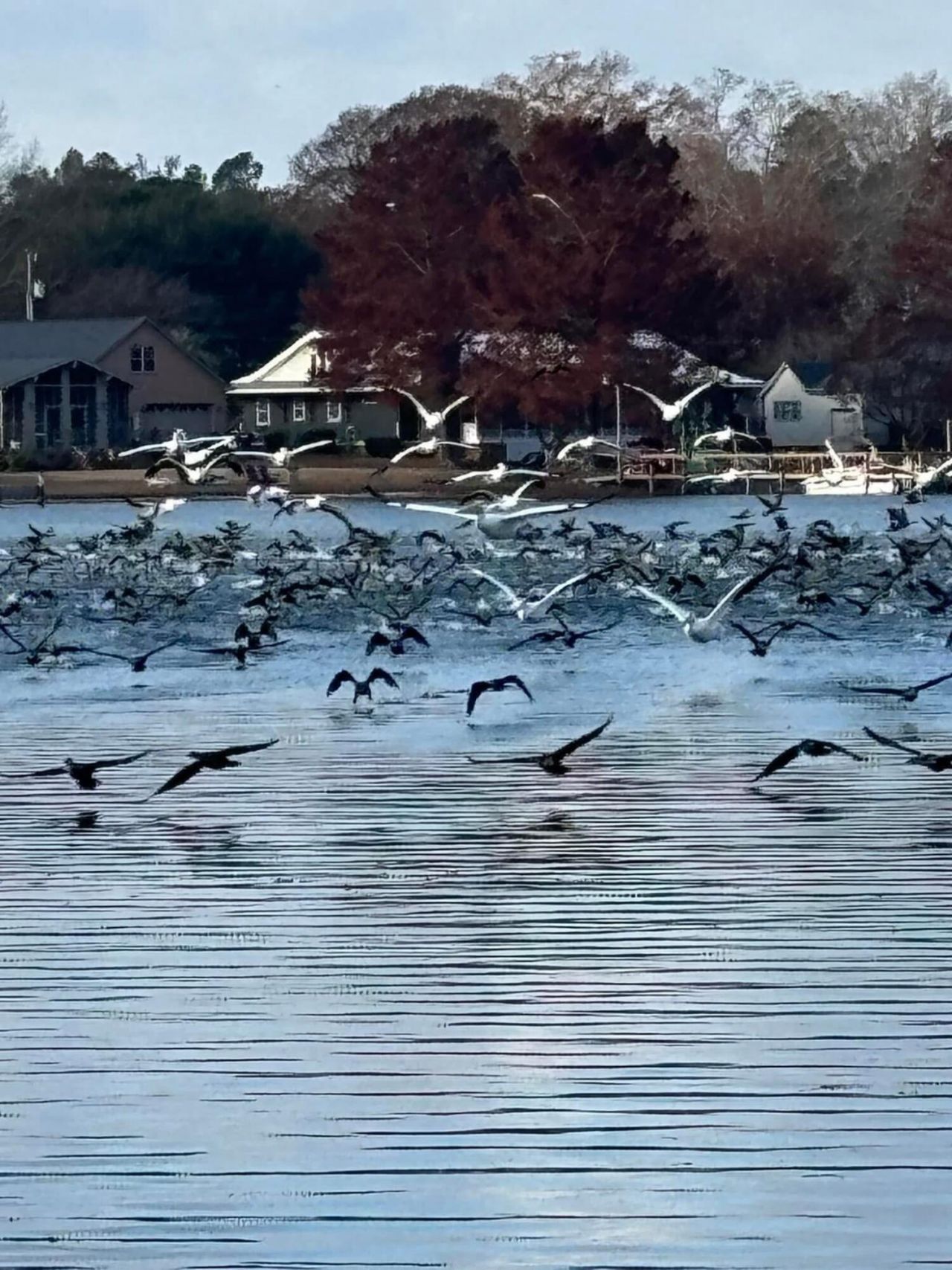 1204 Joyner Drive Photo 112