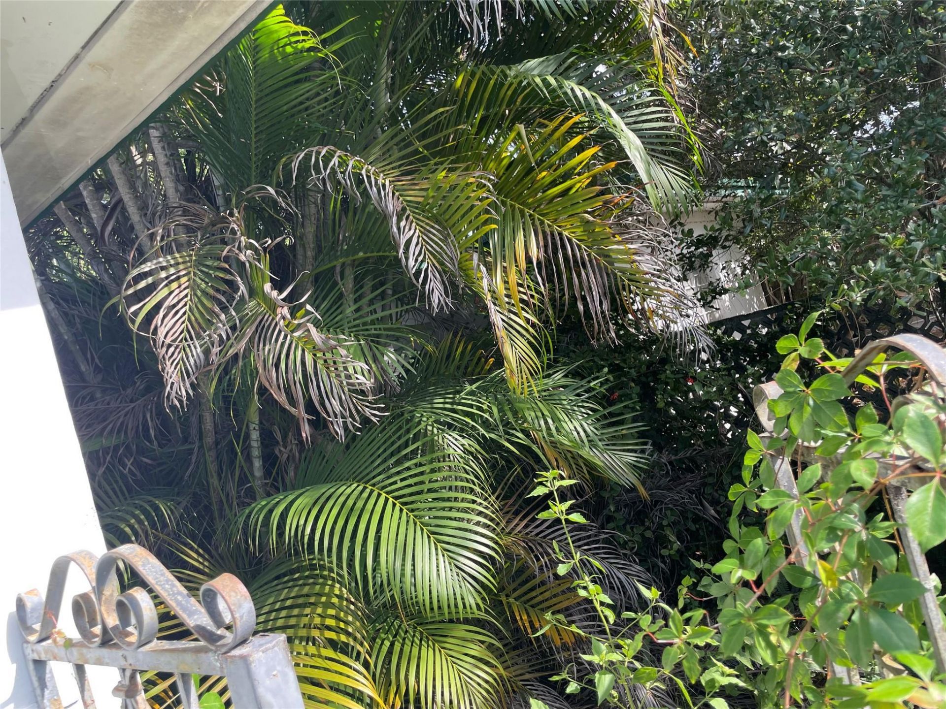 1601 NW 147th Street Drive, Miami, FL 33167 Photo