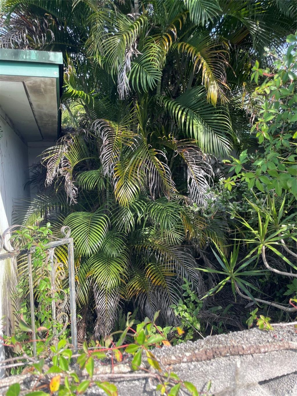 1601 NW 147th Street Drive, Miami, FL 33167 Photo