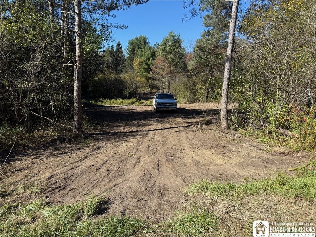 0 Cemetery Hill Road, Franklinville, NY 14737 Main Photo