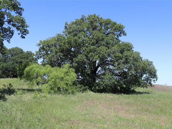 73 Acres West Deer Creek Rd, Henrietta, TX 76365