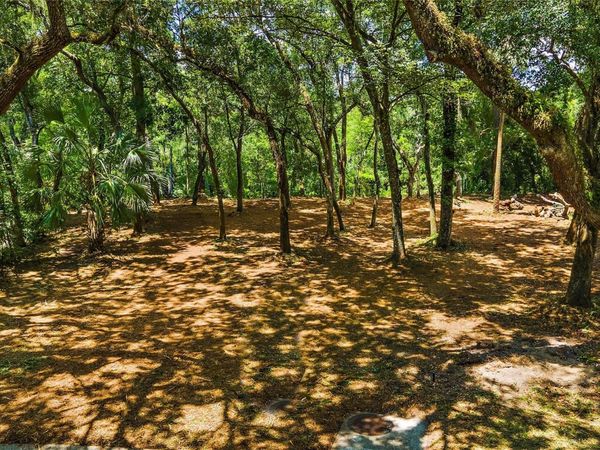 11731 GAIL DRIVE, TEMPLE TERRACE, FL 33617