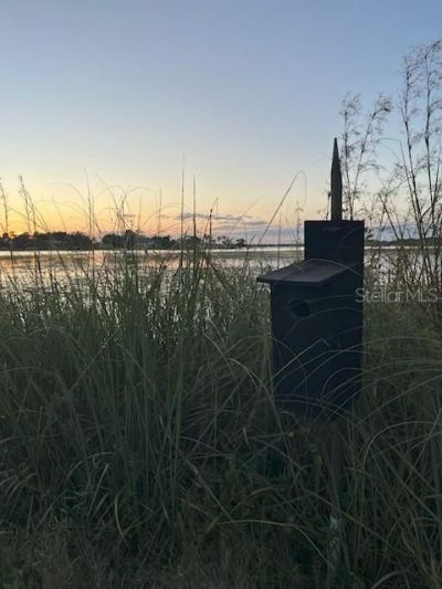 4226 Downeast Lane, Windermere, FL 34786 Photo