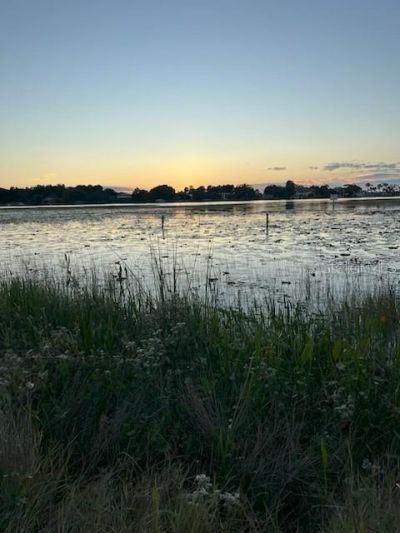 4226 Downeast Lane, Windermere, FL 34786 Photo