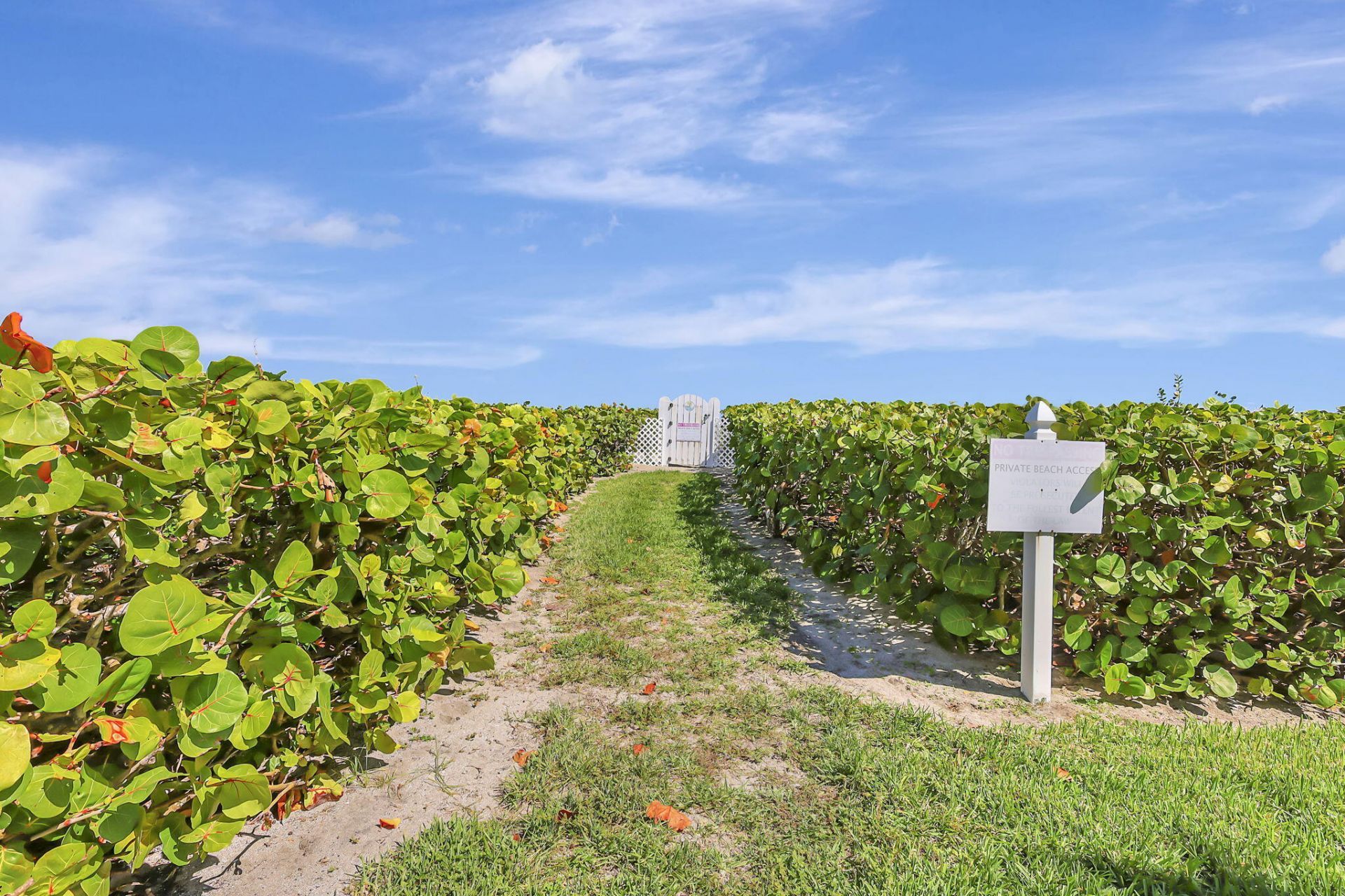 1550 S Ocean Drive, Unit D-19, Hutchinson Island, FL 34949 Photo