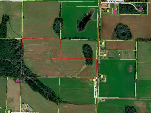 60 Acres Chumuckla Hwy, Jay, FL 32565
