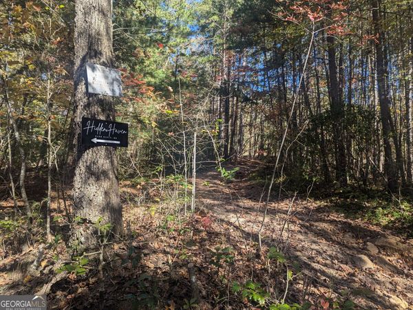 26.89 AC Shadow Lane, Blue Ridge, GA 30513