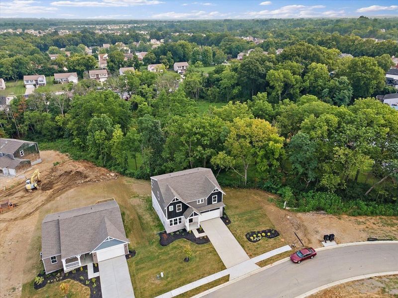 714 Willow Green Drive, Independence, KY 41015 Photo 30