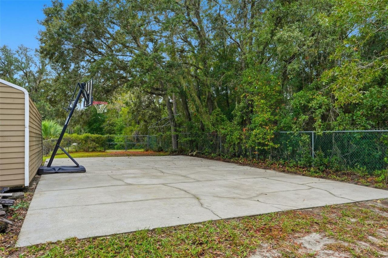 10335 N Dauphine Terrace, Dunnellon, FL 34433 Photo