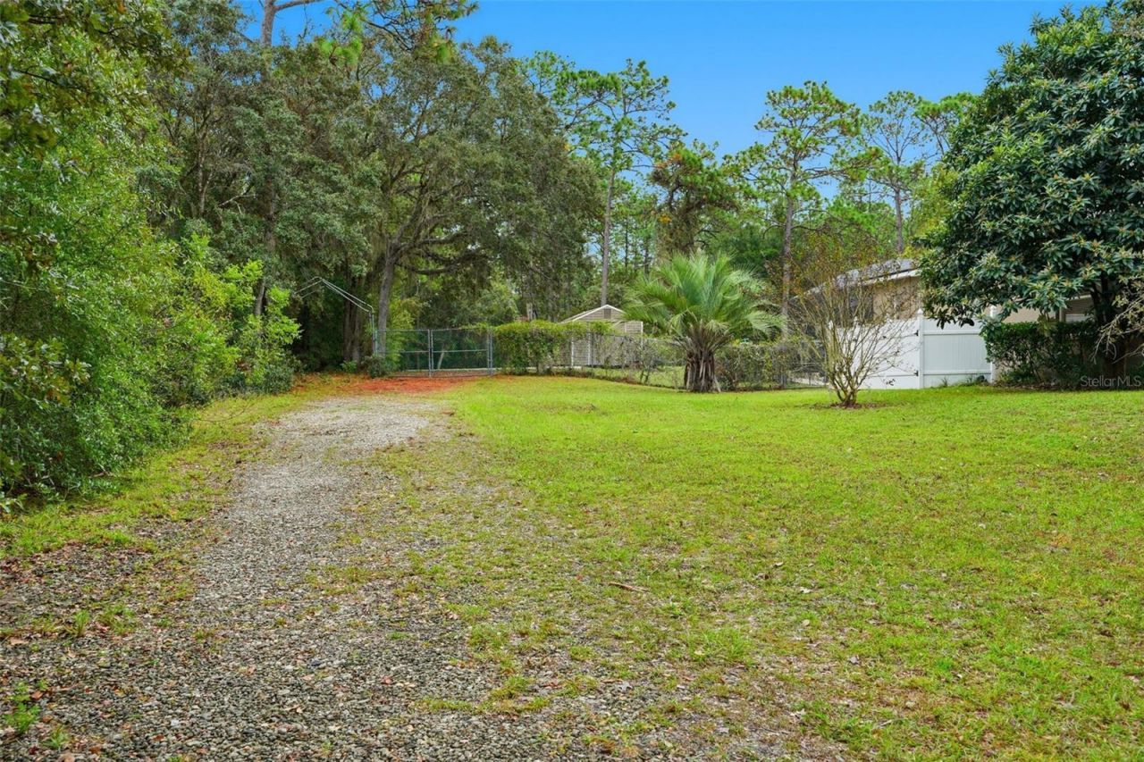 10335 N Dauphine Terrace, Dunnellon, FL 34433 Photo