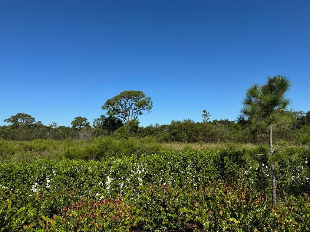 13105 Monte Rosa Court, Palm Beach Gardens, FL 33412 Photo