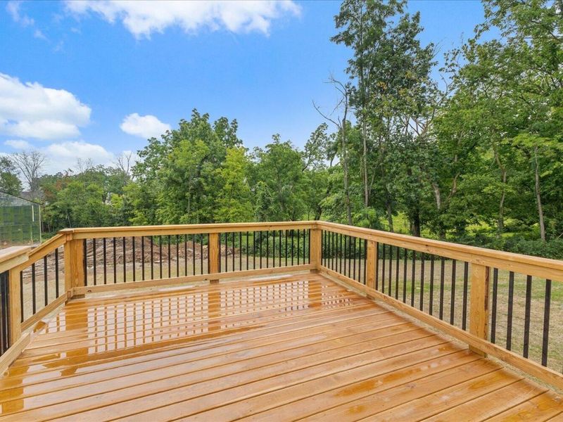 718 Willow Green Drive, Independence, KY 41015 Photo 21