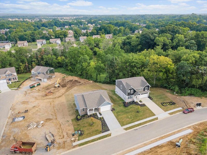 718 Willow Green Drive, Independence, KY 41015 Photo 25