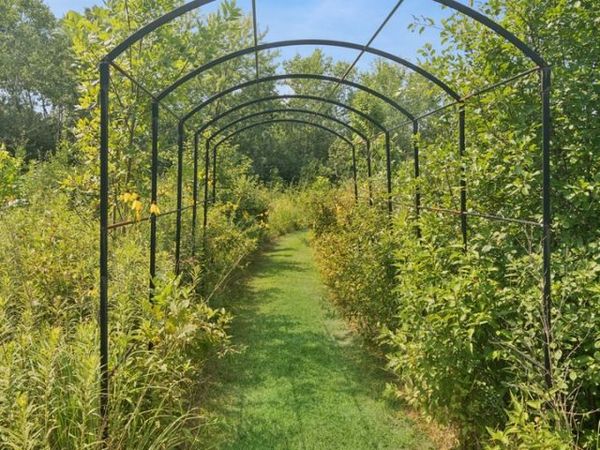 4438 Hearthmoor Court, Long Grove, IL 60047