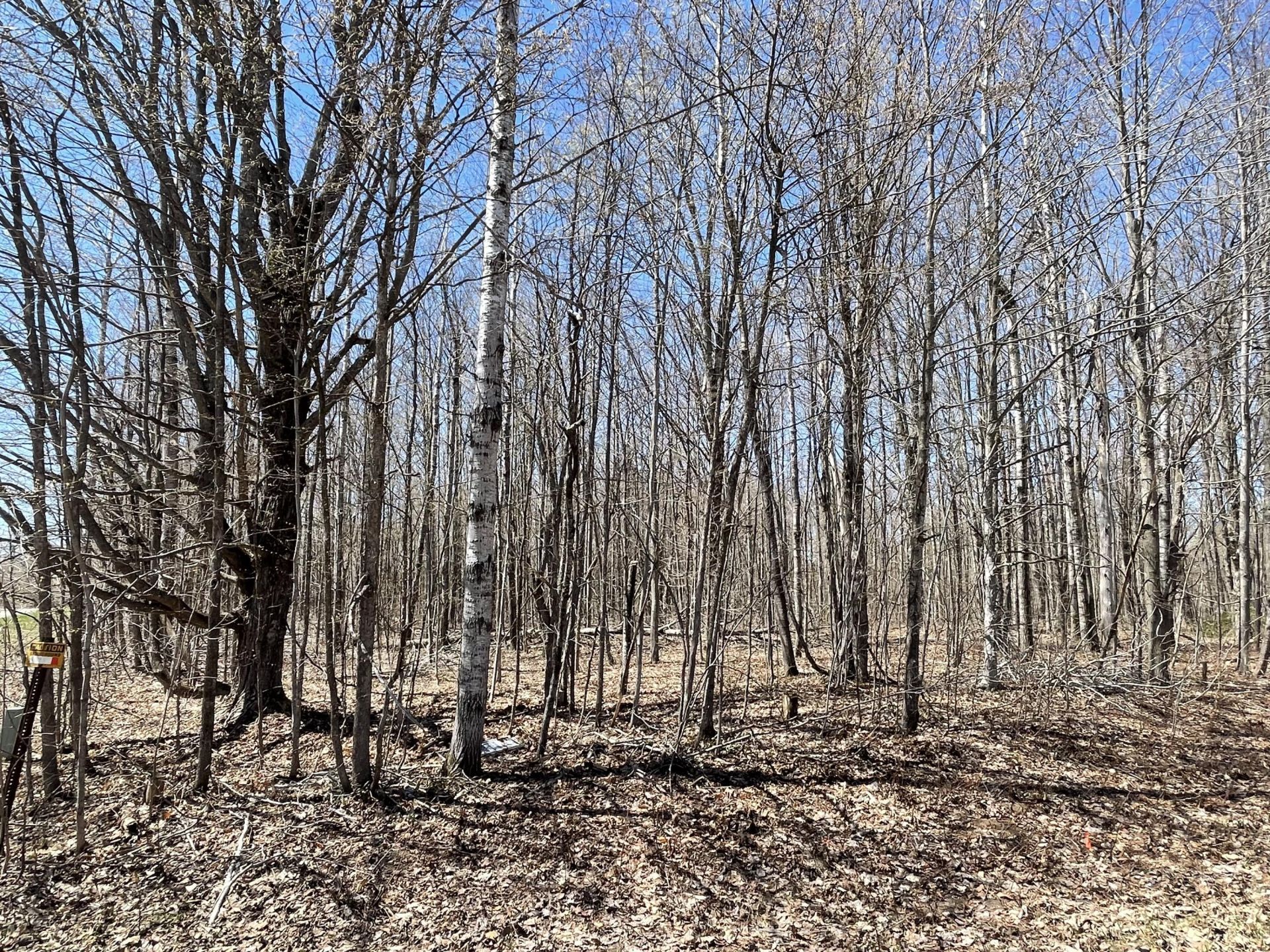 V/l Lot 78 Montrose Drive, Mancelona, MI 49659 Main Photo