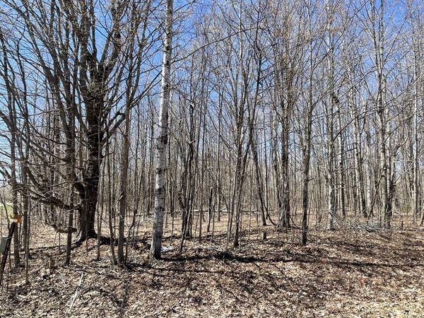 V/L LOT 78 Montrose Drive, Mancelona, MI 49659